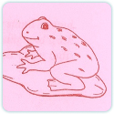Frog_in_Classroom